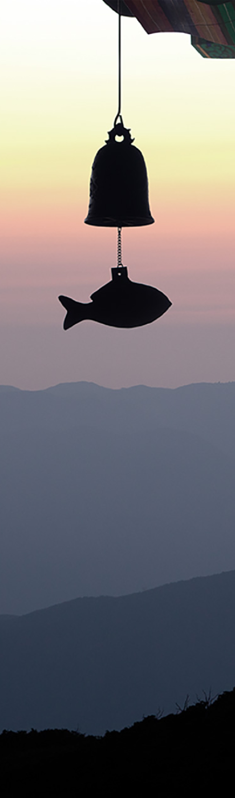 햄버거 메뉴 이미지